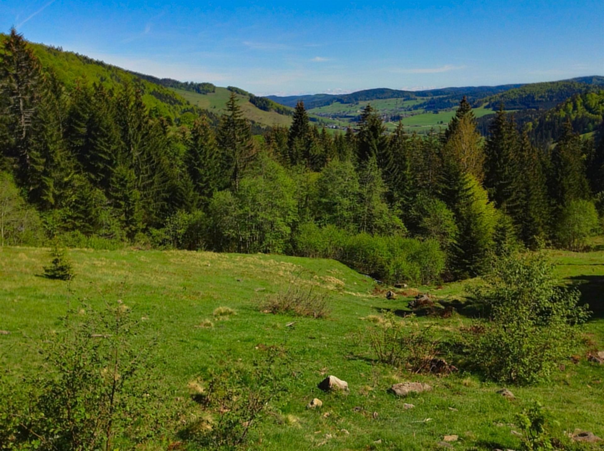 Weg zur Krunkelbachhütte