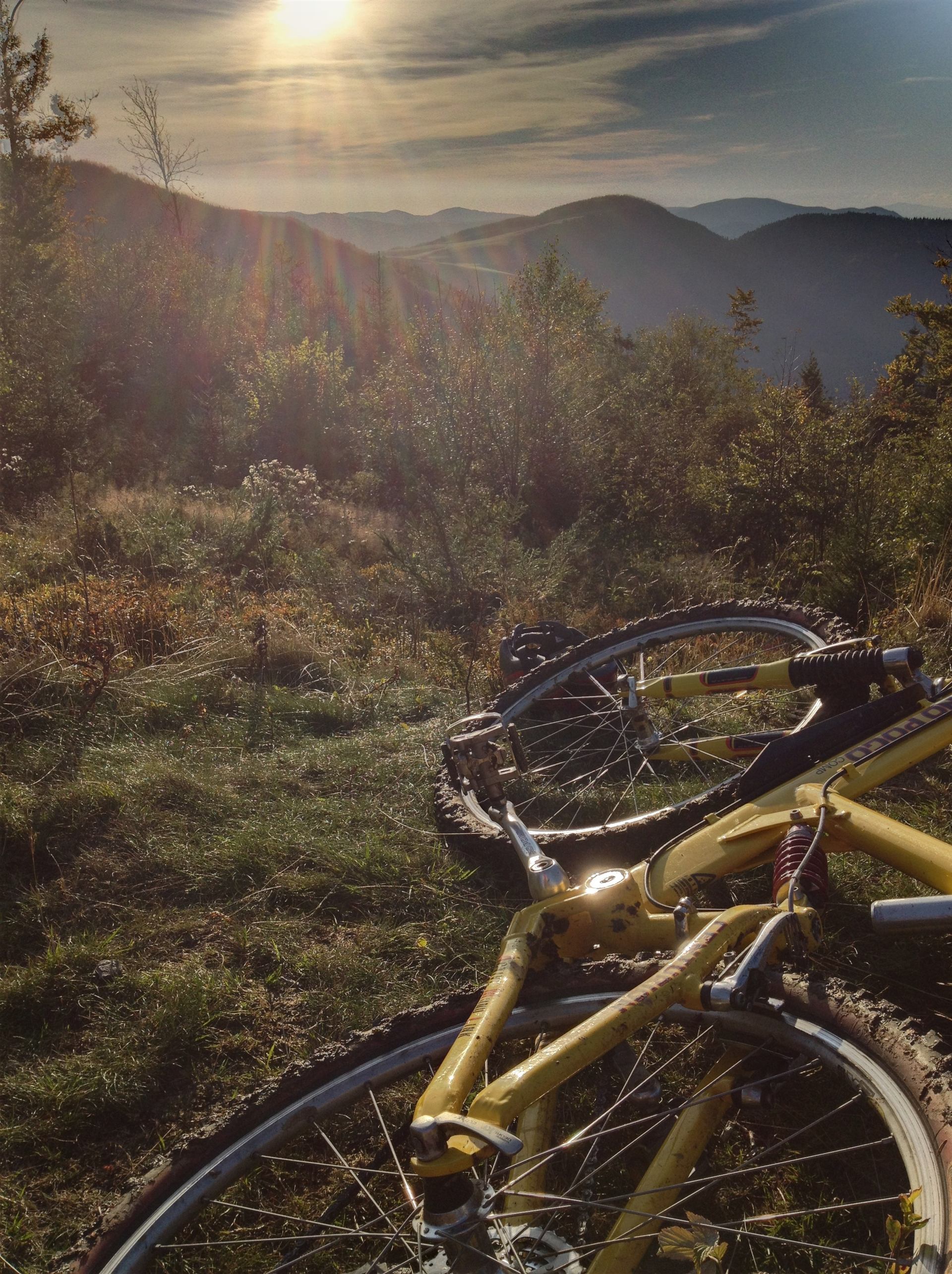 mit dem Mountainbike aufs Herzogenhorn