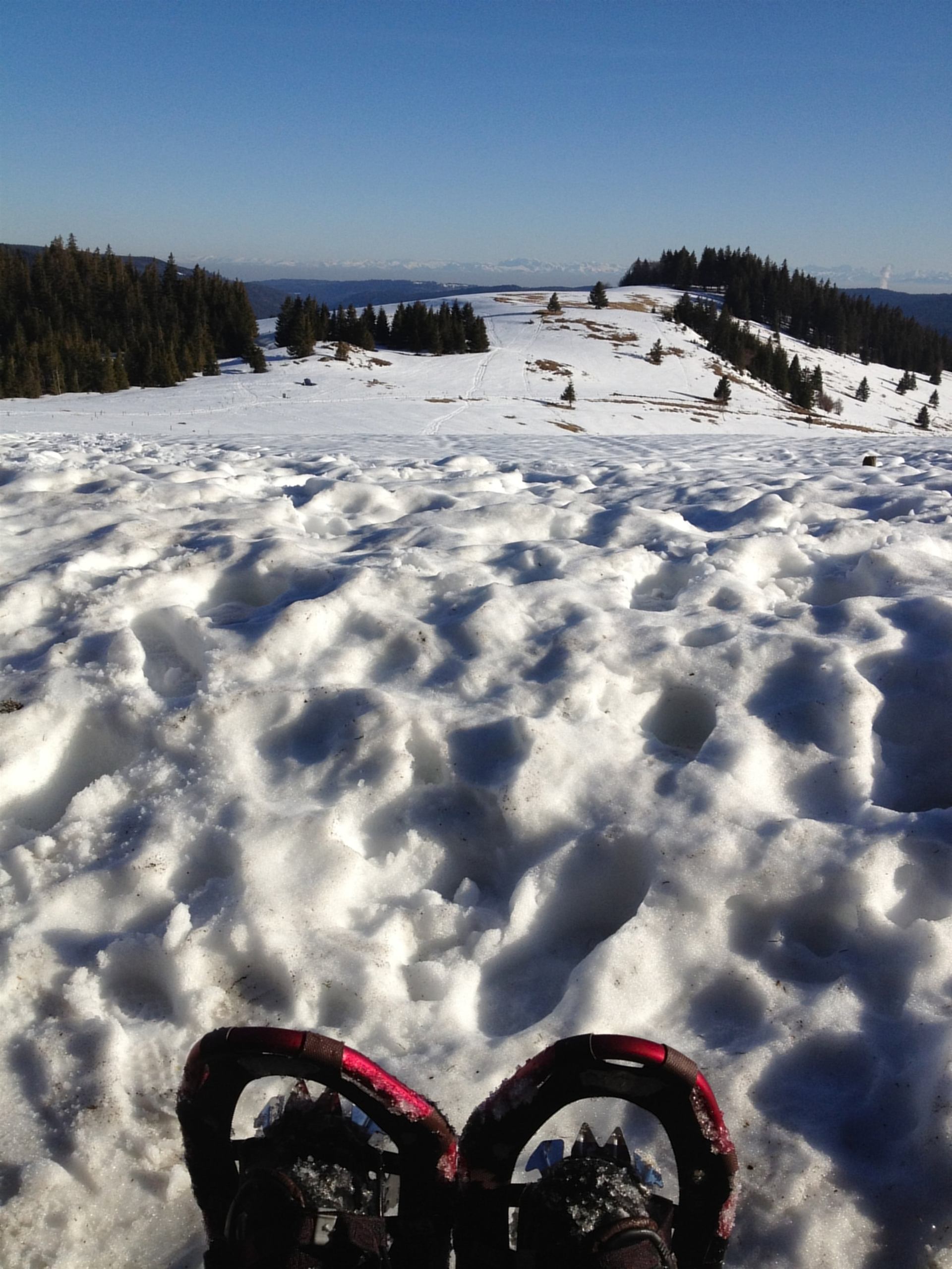 Mit den Schneeschuhen aufs Herzogenhorn
