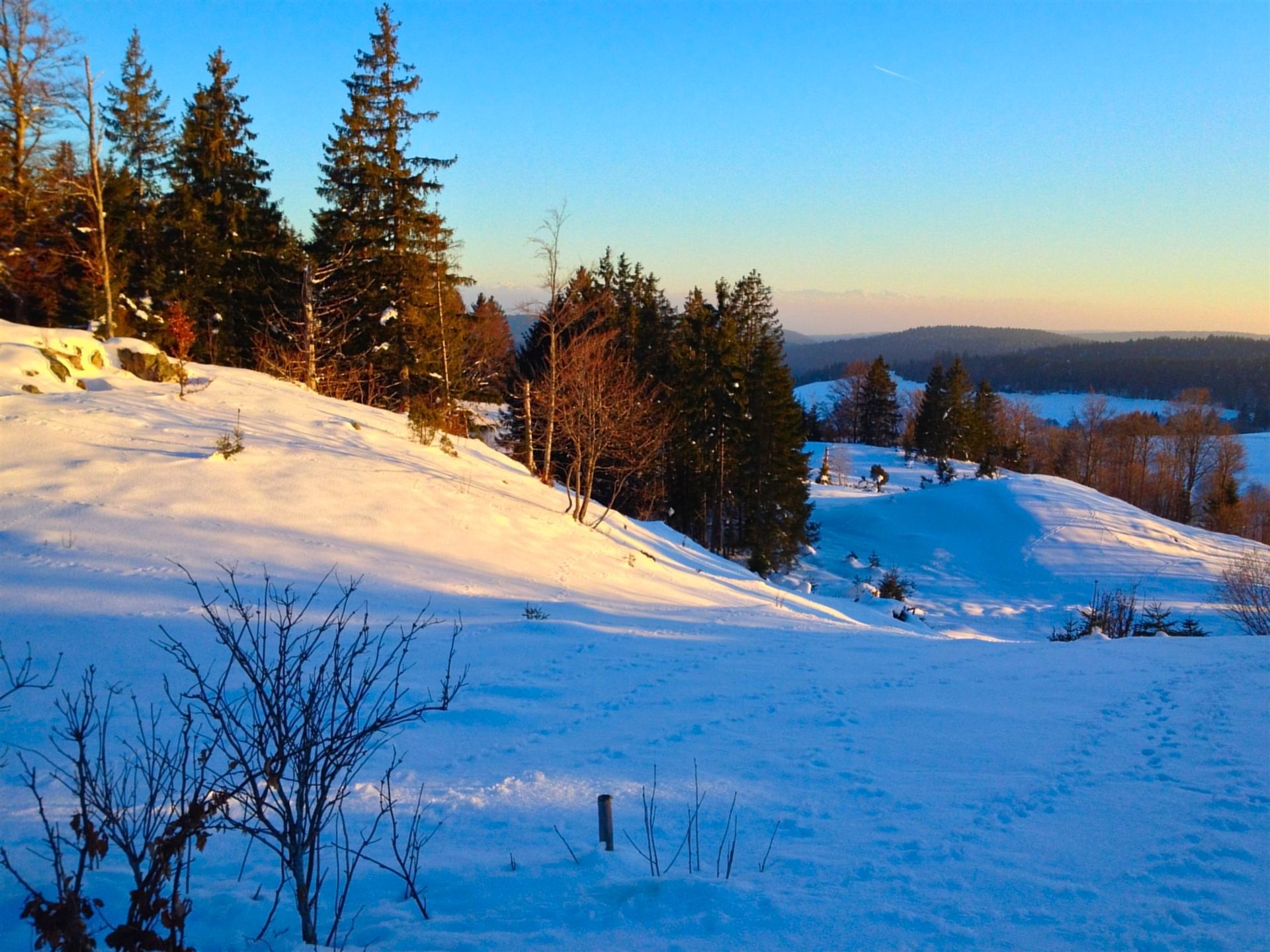wunderschöne Wanderungen zum Herzogenhorn oder der Krunkelbachhütte mit toller Rodelabfahrt